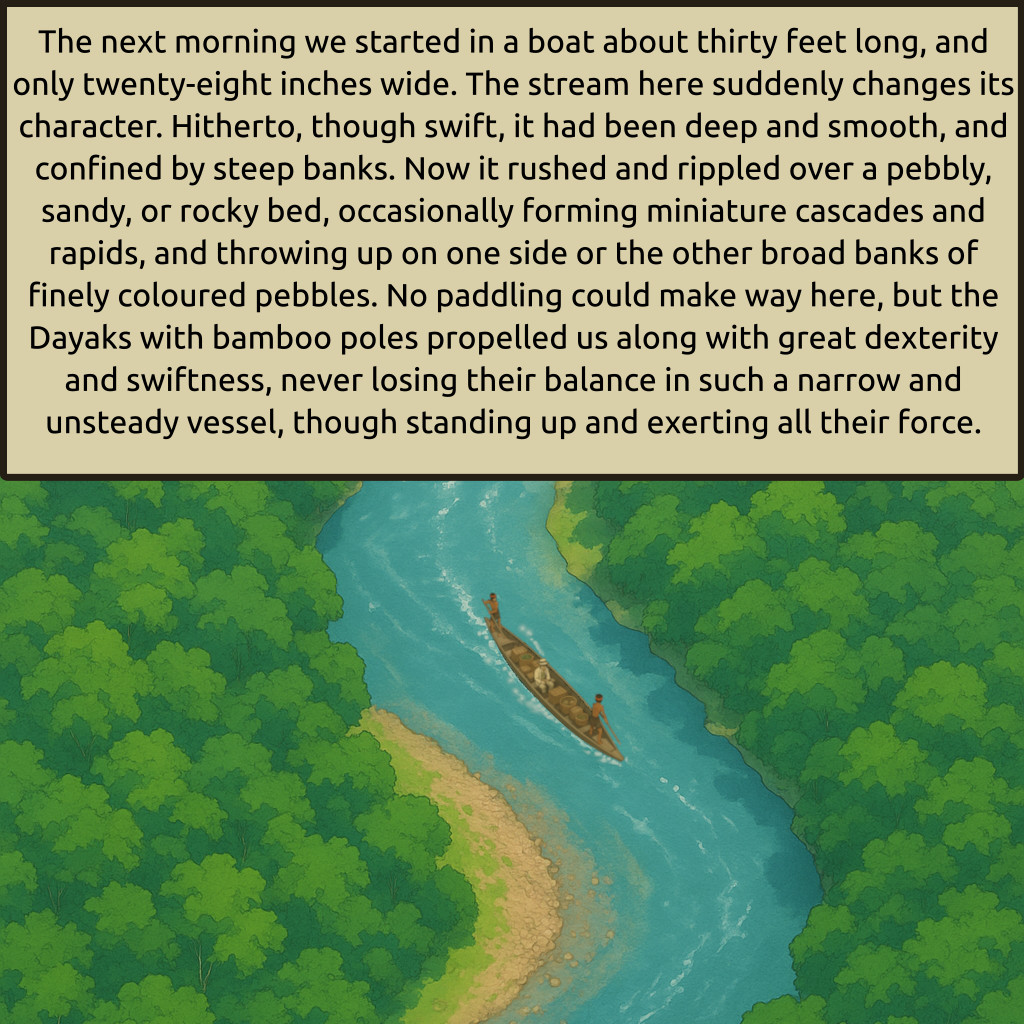 Tropical River Through Lush Rainforest